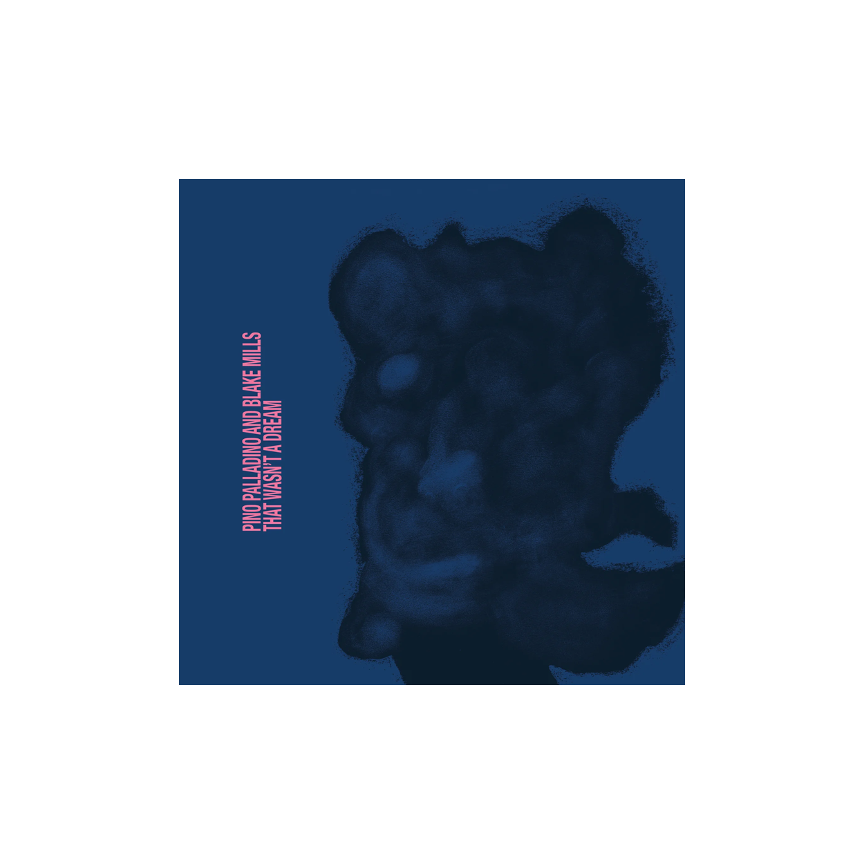 Pino Palladino, Blake Mills - That Wasn't a Dream: CD