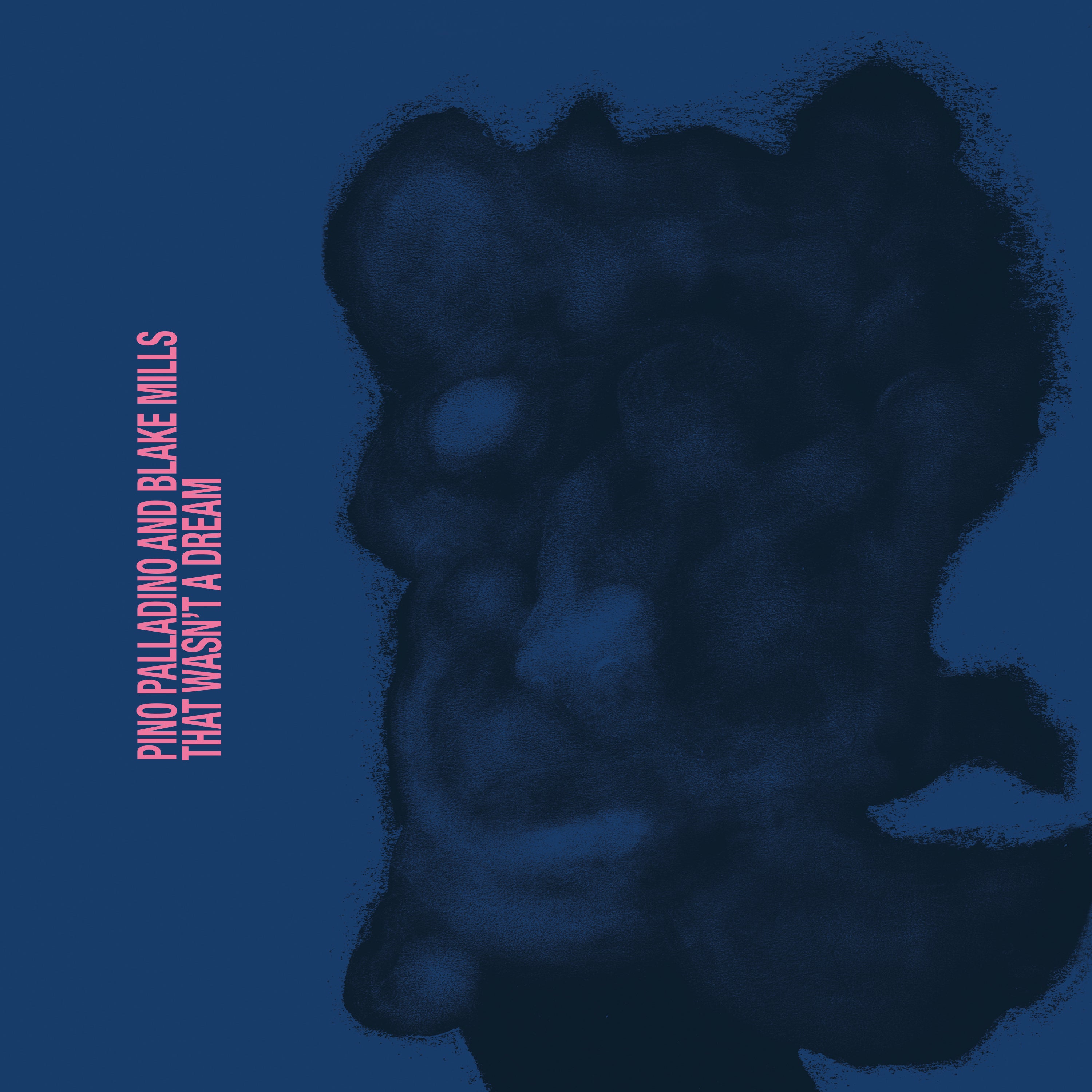 Pino Palladino, Blake Mills - That Wasn't a Dream (CD)