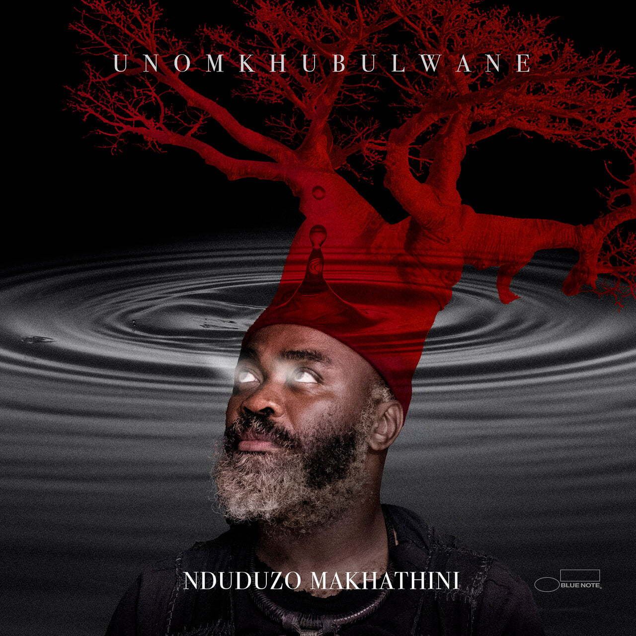 Nduduzo Makhathini - uNomkhubulwane: Vinyl LP