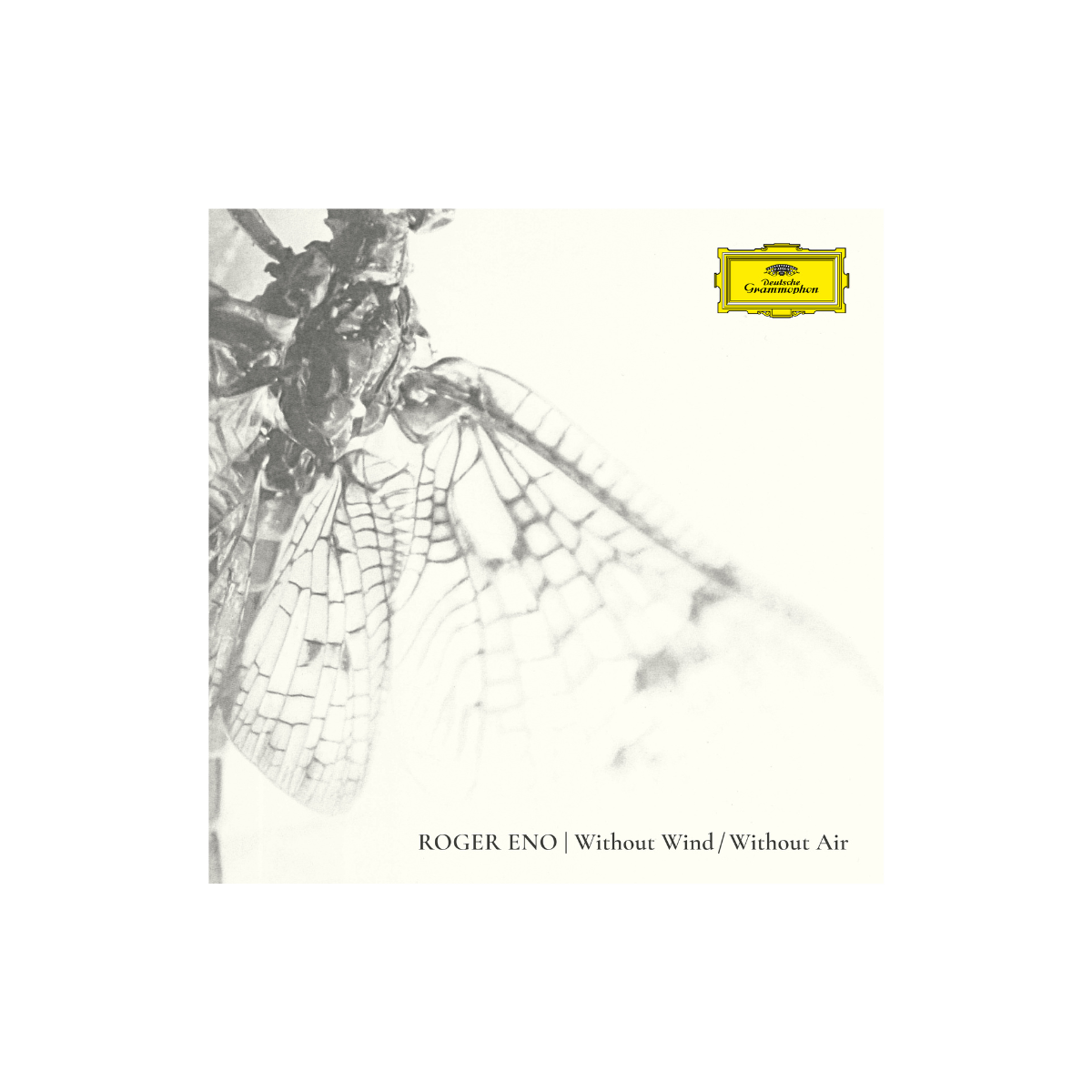 Roger Eno - Without Wind, Without Air