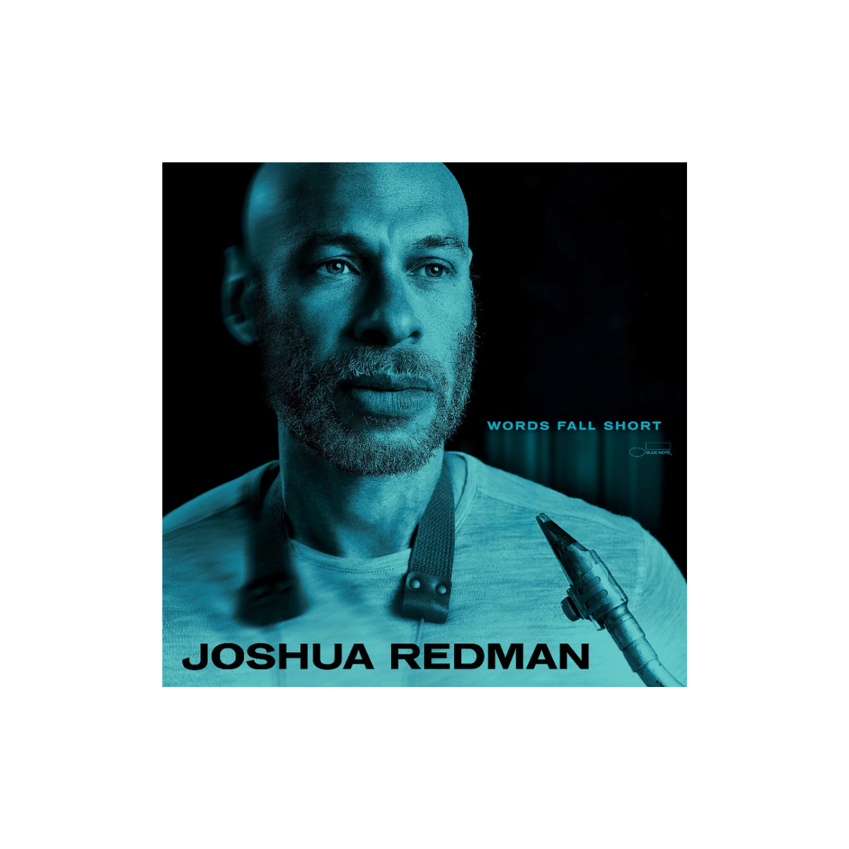 Joshua Redman - Words Fall Short - Vinyl