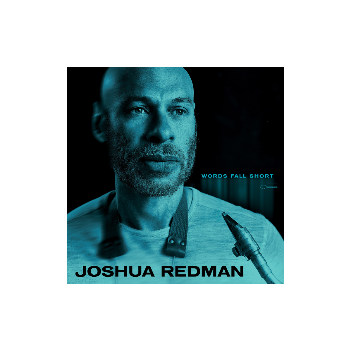 Joshua Redman - Words Fall Short - CD
