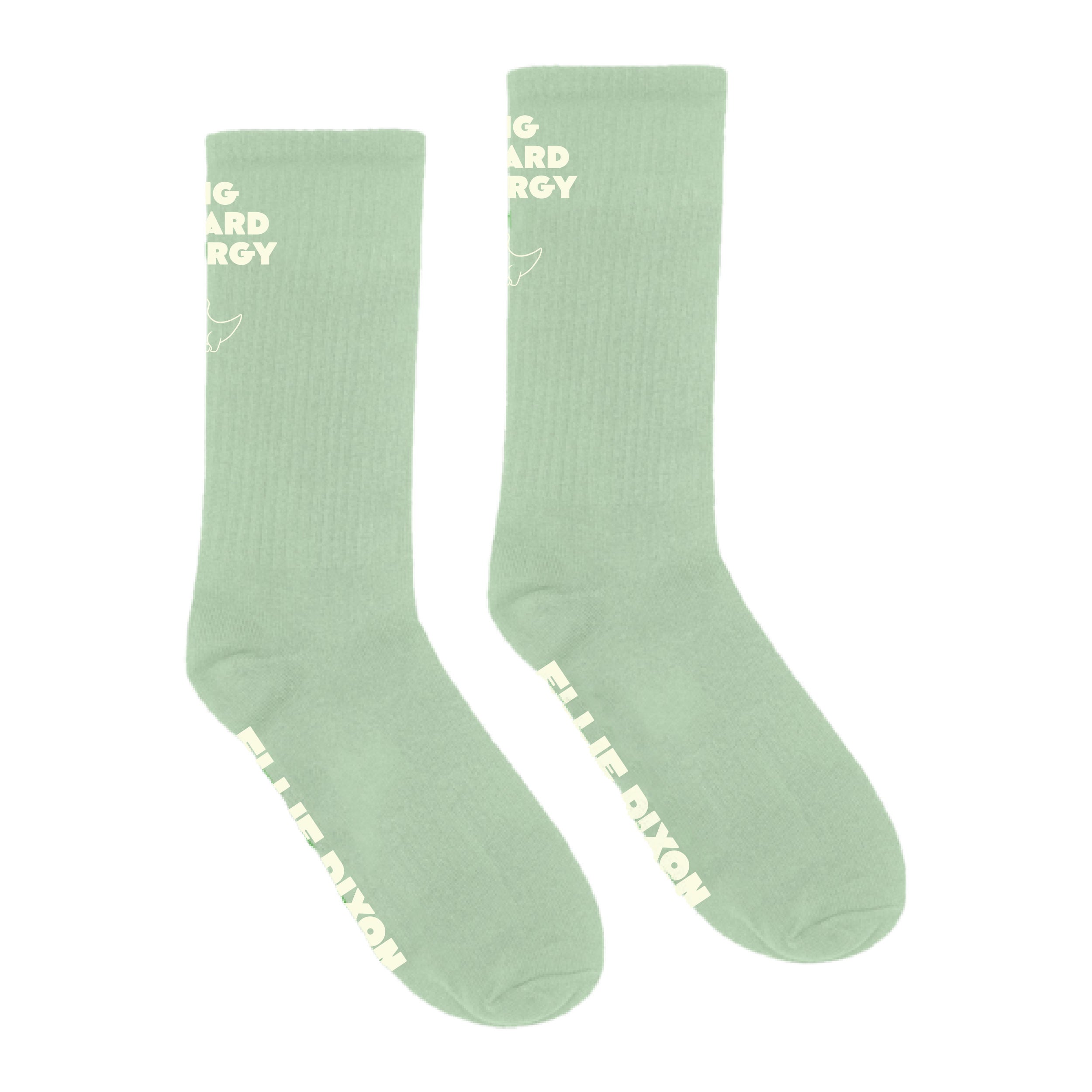 Ellie Dixon - Big Lizard Energy Socks